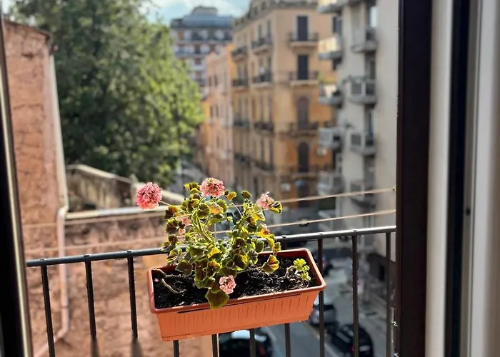 Easydoro * Palermo
