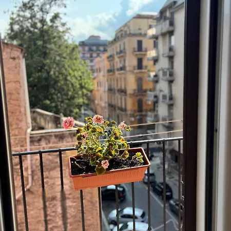 Easydoro * 巴勒莫